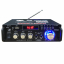 Аудио Bluetooth усилитель TeLi 2-канальный 300 Вт + 300 Вт-1