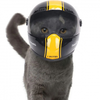 Мотоциклетный шлем для кошек Felino, желтый-5